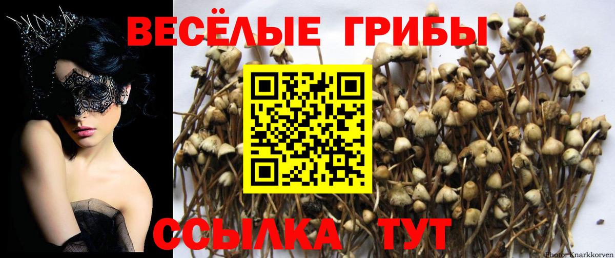 Амфетамин Майский