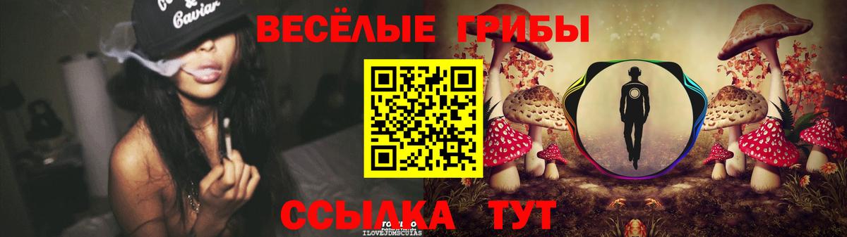 Галлюциногенные грибы GOLDEN TEACHER Майский